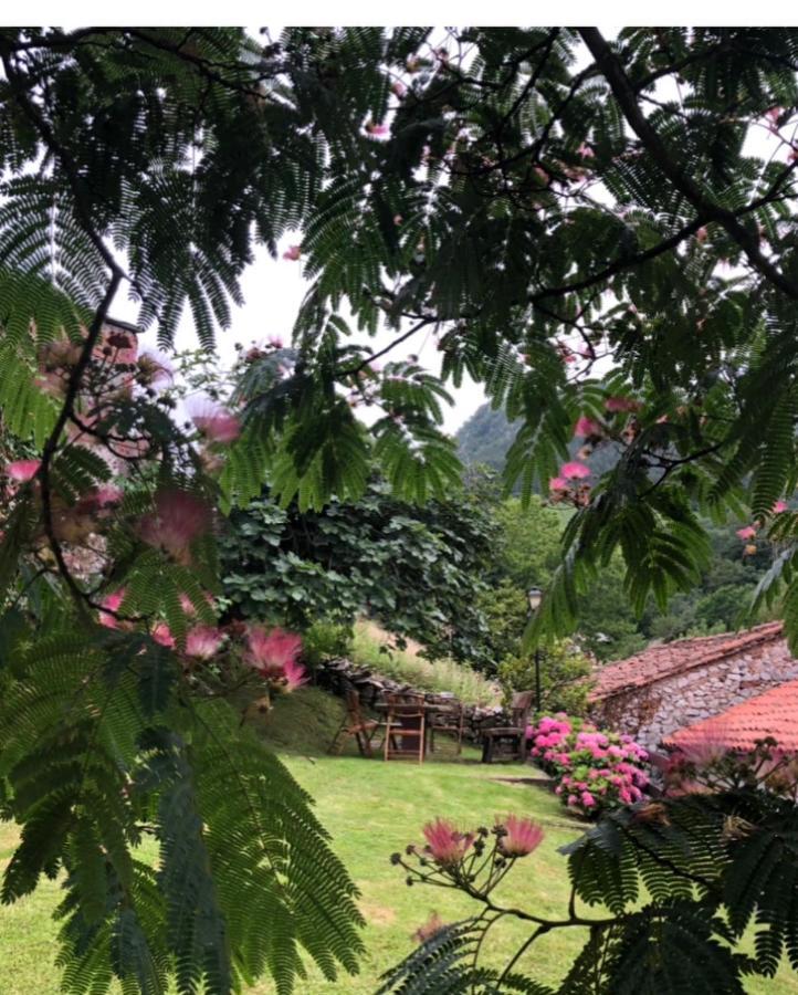 Hdec Hosteria De Castaneda Alojamiento Turistico Puente Viesgo Exteriér fotografie