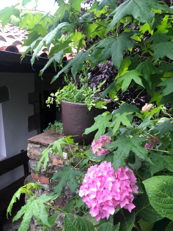 Hdec Hosteria De Castaneda Alojamiento Turistico Puente Viesgo Exteriér fotografie